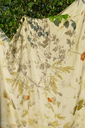 DSC_8709-2.webp