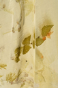 DSC_8710-1365x2048.webp