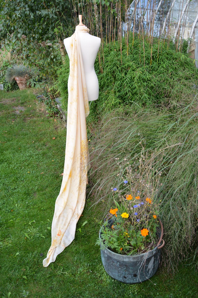 DSC_8683-1365x2048.webp