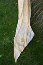 DSC_8687-1365x2048.webp