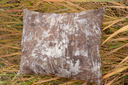 DSC_9064-1536x1024.webp
