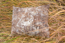 DSC_9063-1536x1024.webp