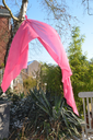 Longue étole fuschia.webp